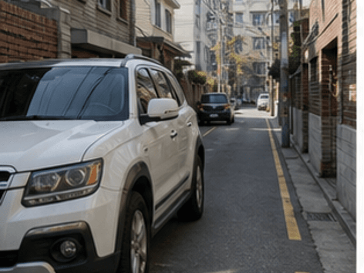 골목 주차 현장 정치인 활동 샘플 사진